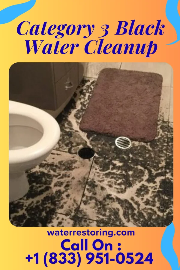 Category 3 Black Water Cleanup in Ryan, OK