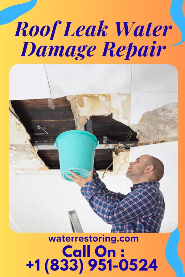 Roof Leak Water Damage Repair in Ryan, OK
